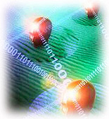 Technology Transfer Organizations
